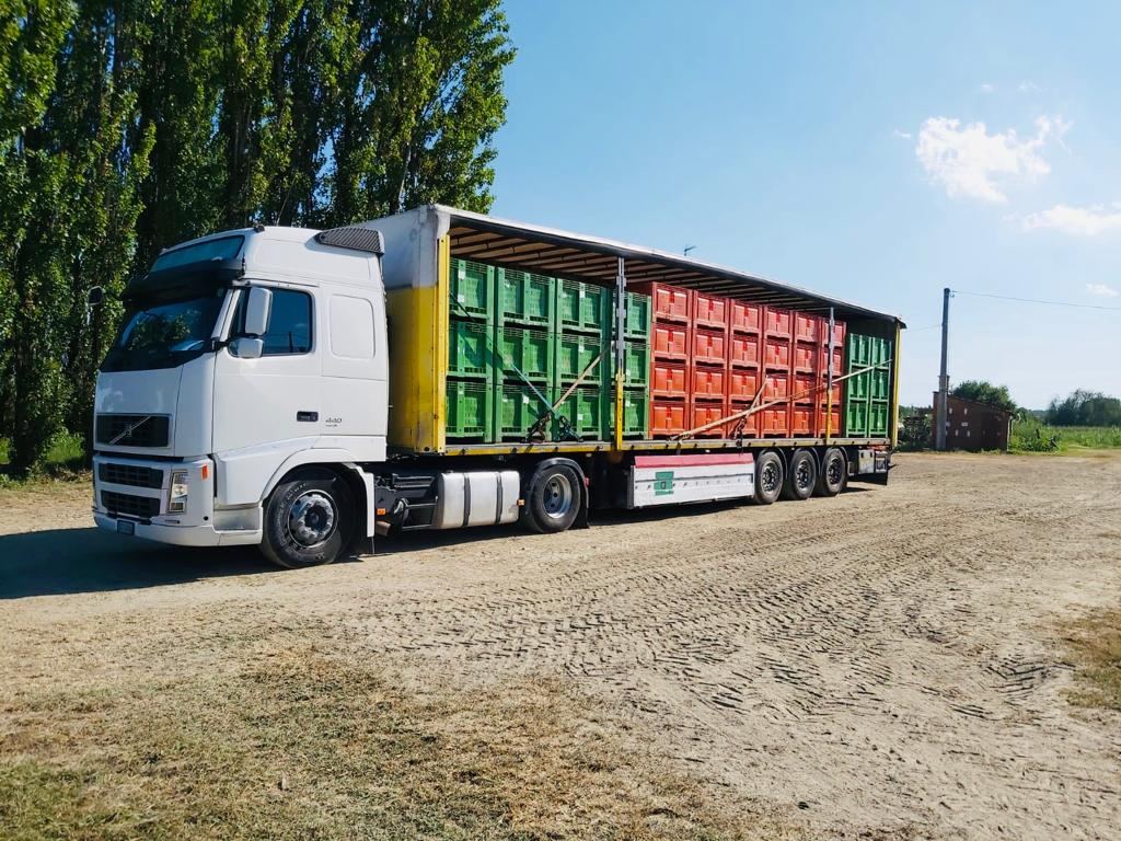 Bilico carico di cassette di frutta e verdura