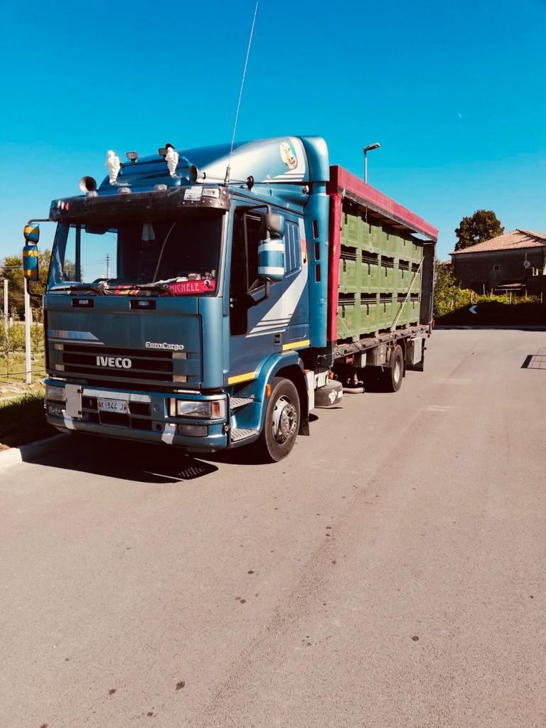 Camion Iveco per il trasporto di piante